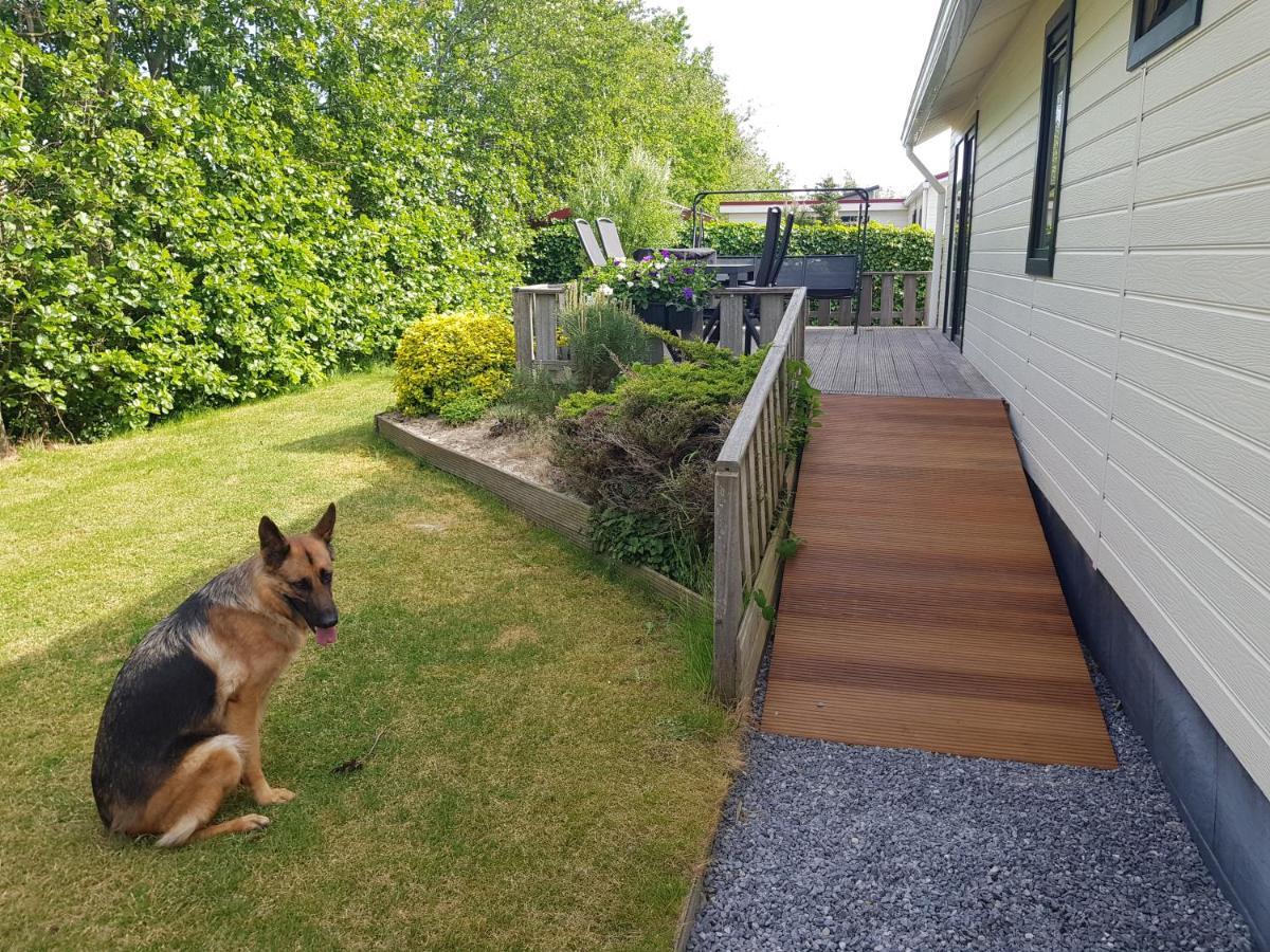 Vakantiehuis In Zeeland Sint Annaland Εξωτερικό φωτογραφία